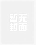 加速世界之暗交往的黑雪姬